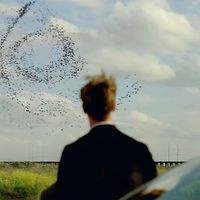 original sound - SCRONE