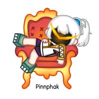 ppinnphak06