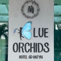 blueorchids_hatyai