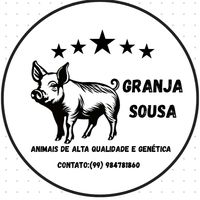 abrao.sousa840