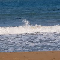 sfycx_5346_2442
