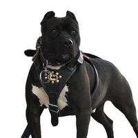 dogrusoylerticaretsivas