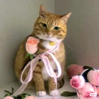 original sound - tka.tulips