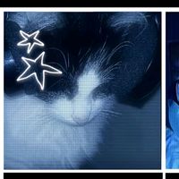 original sound - ✨/🩵\ ~val~ /🩵\✨