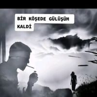 www.tiktok.comyalnizadam