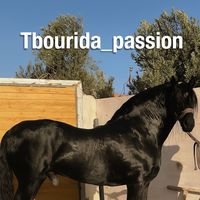 tbourida_passion