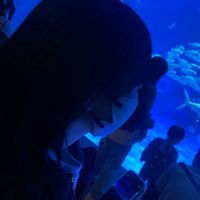 オリジナル楽曲 - 🎀🫧