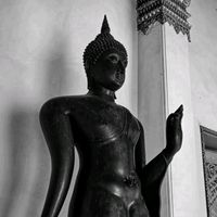 zax_145