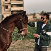 itx.numan_