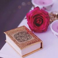 الصوت الأصلي