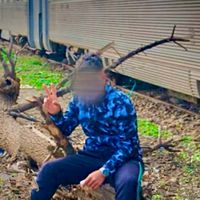 الصوت الأصلي