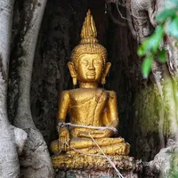 original sound - arsam384