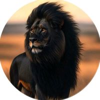 black.lion.2426