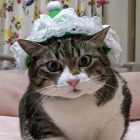 オリジナル楽曲 - sawaryan