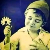 orijinal ses