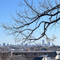 オリジナル楽曲 - ナルトベアー