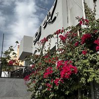 hbat_alhil