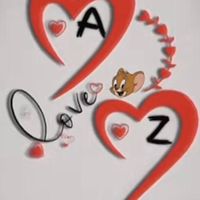 zarinaamir11