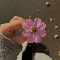 user_7_7_48