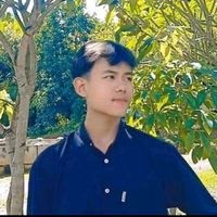 kokolay528