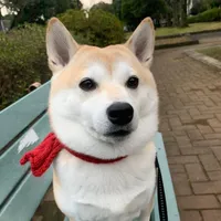 original sound - yuuuzu3