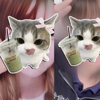 オリジナル楽曲 - ひめか🍳🐾