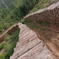 user2316441838208sandro