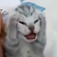 nhạc nền - ツ N C T