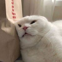 เสียงต้นฉบับ - ลุงเอ๋ยลุง