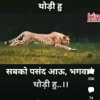 rajive035