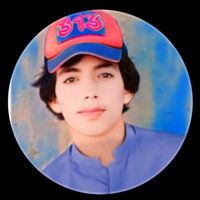 meersaleem007