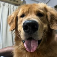 luckystoryy