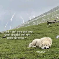 original sound - feeling_389