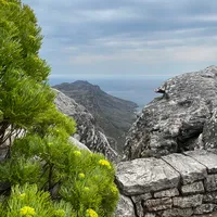 original sound - raghad11041