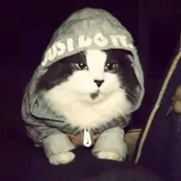 original sound - nahh__123