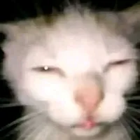 original sound - azulkakashi