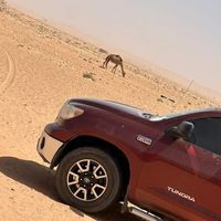 ali_waly_arnemy