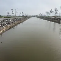 original sound - quyetqc