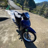 ly_thij_dung