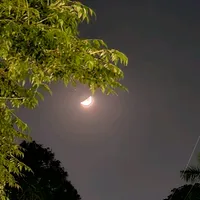 original sound - ali_butt911