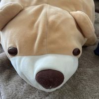 toatoerxfso
