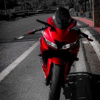 bee.r15v3