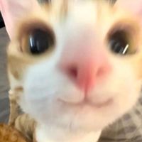 erutikiiii