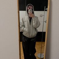stejjsii