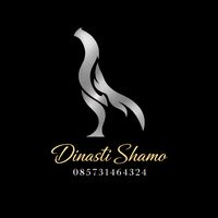 shamo.dinasti