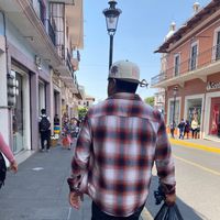_pollo_774