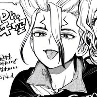 .gin_0v0_drstone