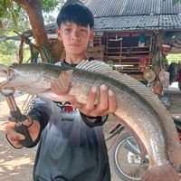 user13418119004391