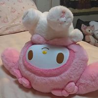 p_patch25
