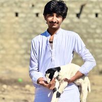 moldad_balochh
